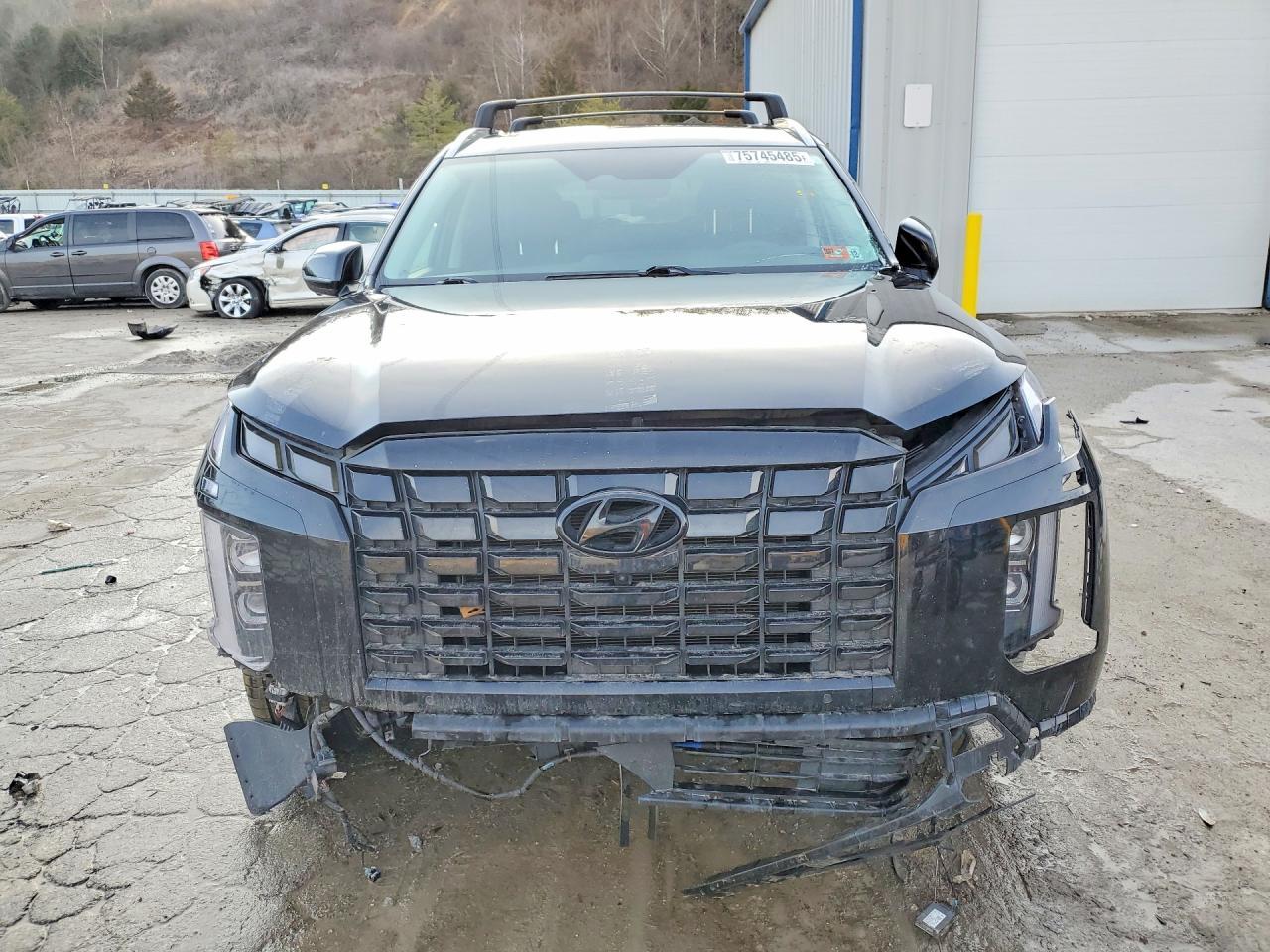2023 Hyundai Palisade Sel Premium - zdjęcie 5