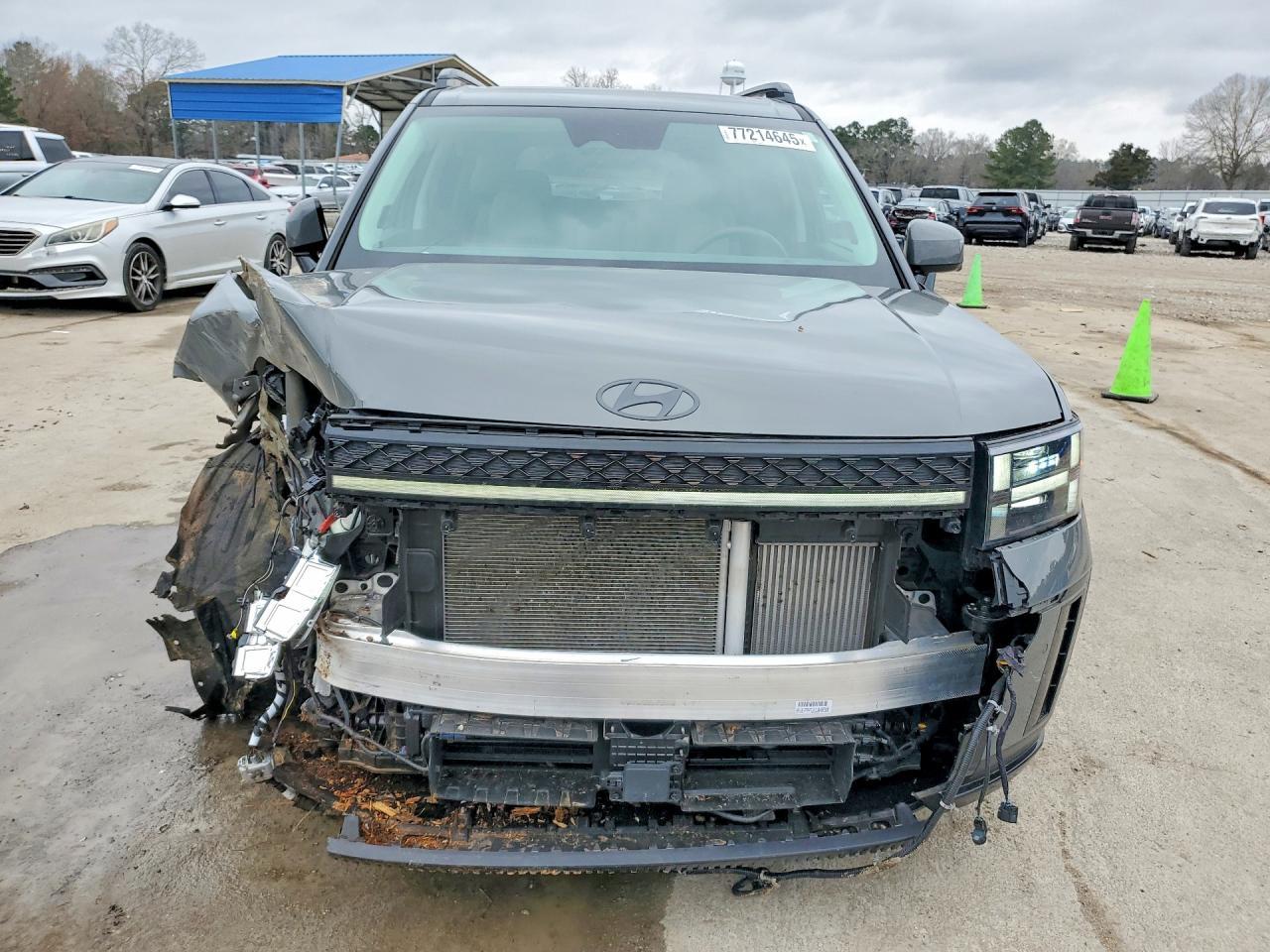 2025 Hyundai Santa Fe Calligraphy - zdjęcie 5