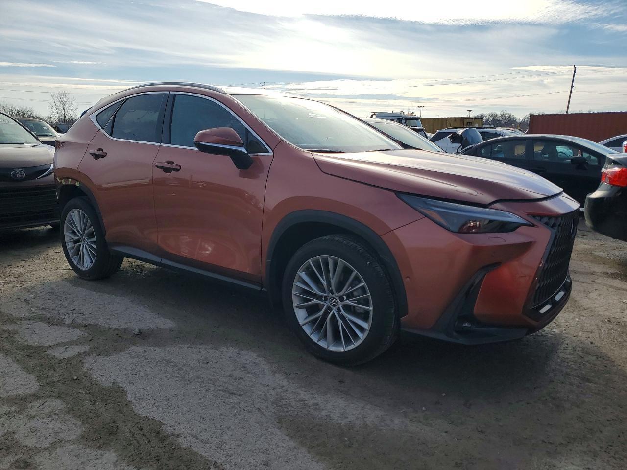 2025 Lexus Nx 350 Luxury - zdjęcie 4
