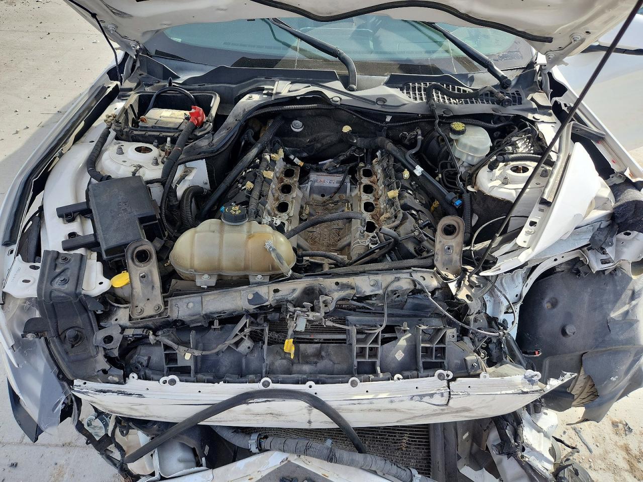 2017 Ford Mustang Gt - zdjęcie 11