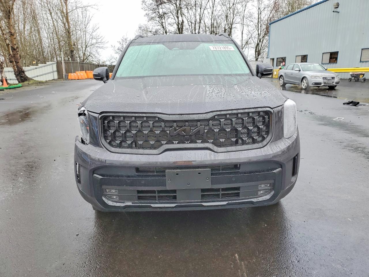 2025 Kia Telluride Sx - zdjęcie 5