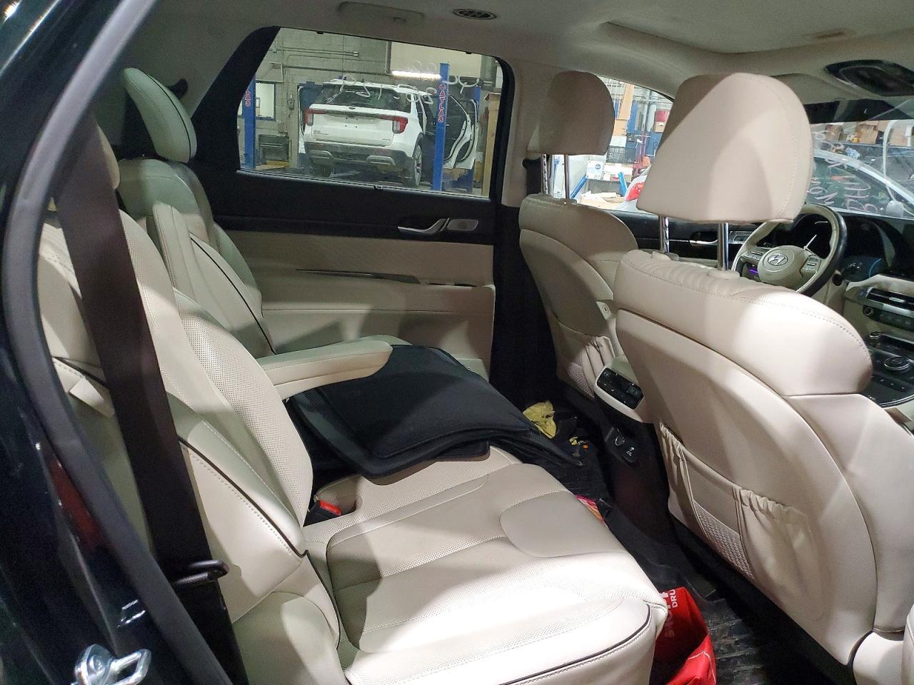 2024 Hyundai Palisade Limited - zdjęcie 10