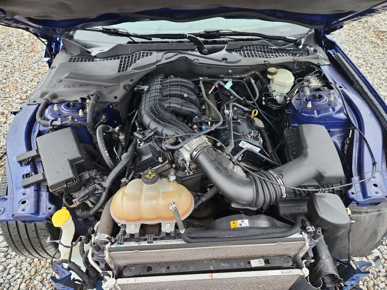 2015 Ford Mustang - zdjęcie 11