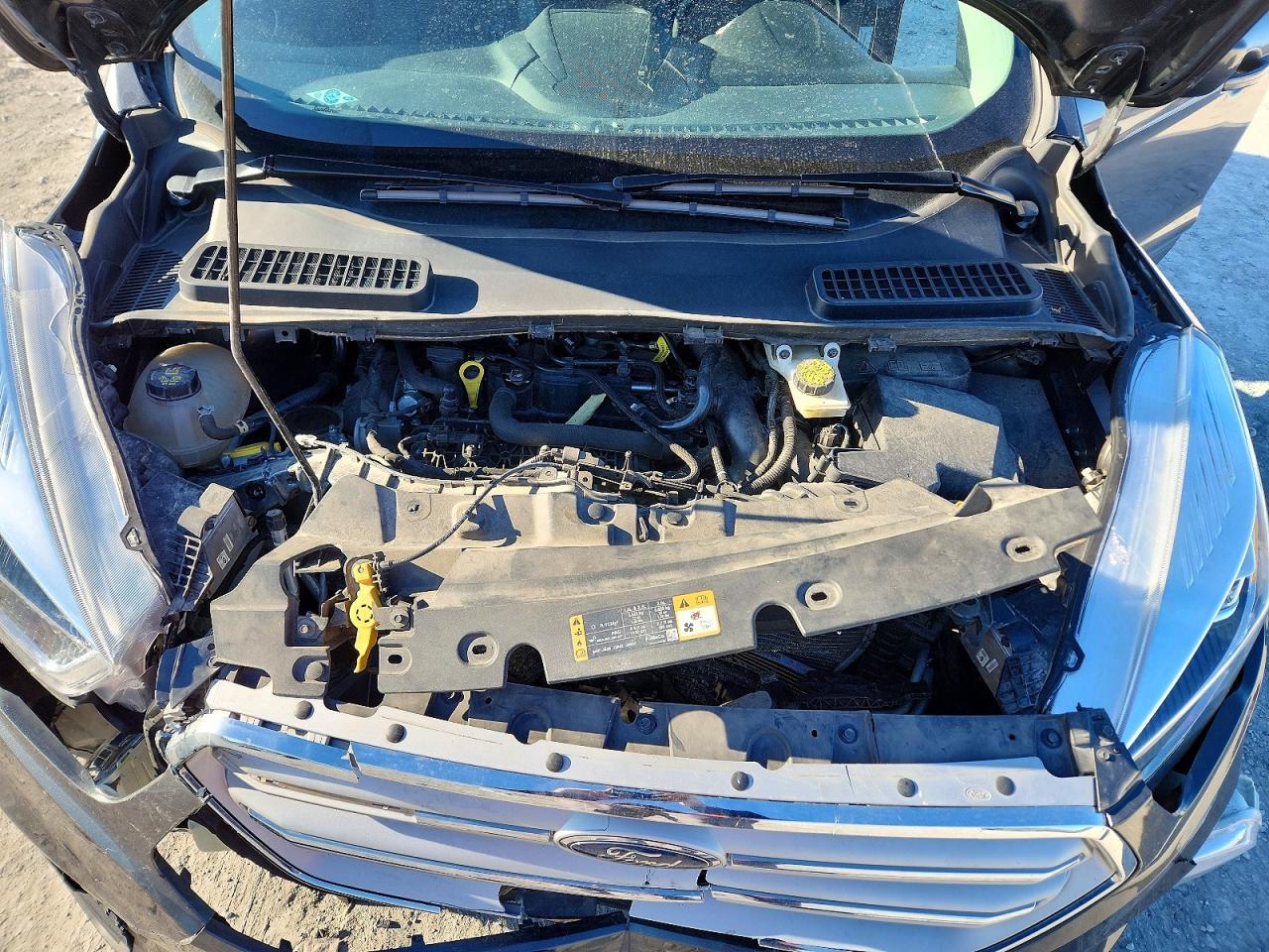 2019 Ford Escape Sel - zdjęcie 12