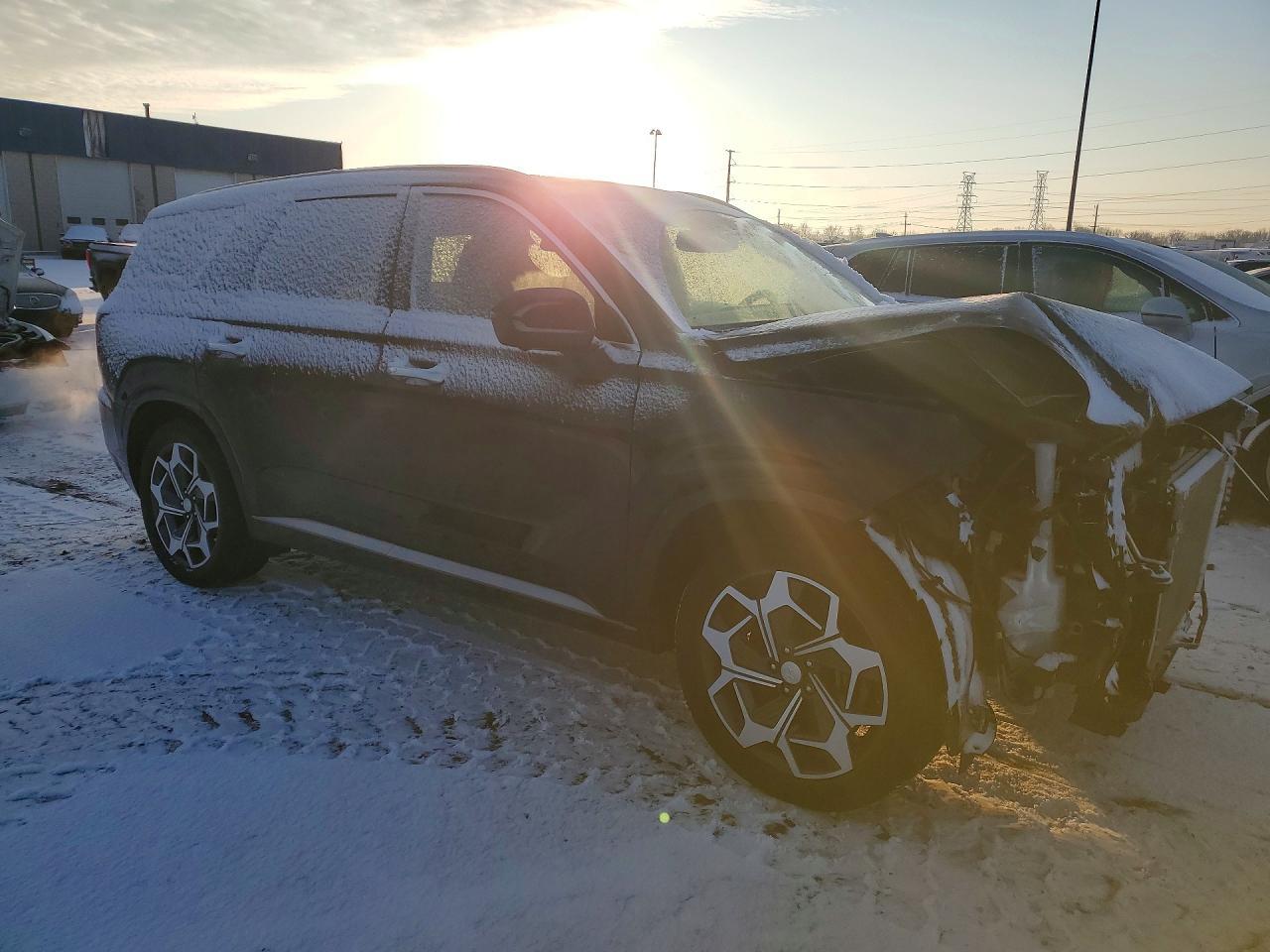 2021 Hyundai Palisade Calligraphy - zdjęcie 4