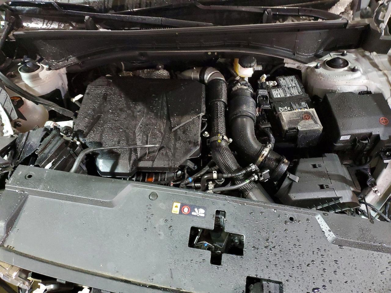 2025 Hyundai Santa Fe Sel - zdjęcie 12