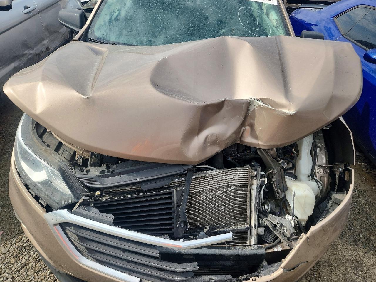 2019 Chevrolet Equinox Ls - zdjęcie 12