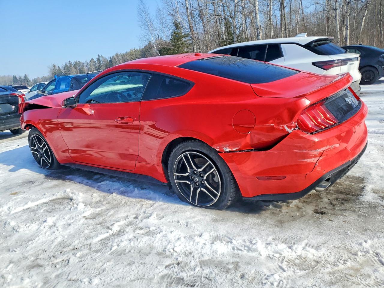 2019 Ford Mustang - zdjęcie 2