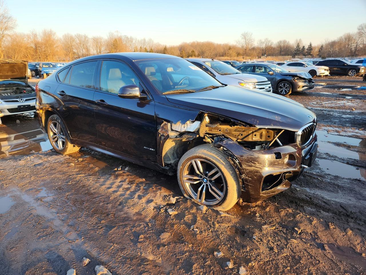 2016 BMW X6 xDrive35I - zdjęcie 4