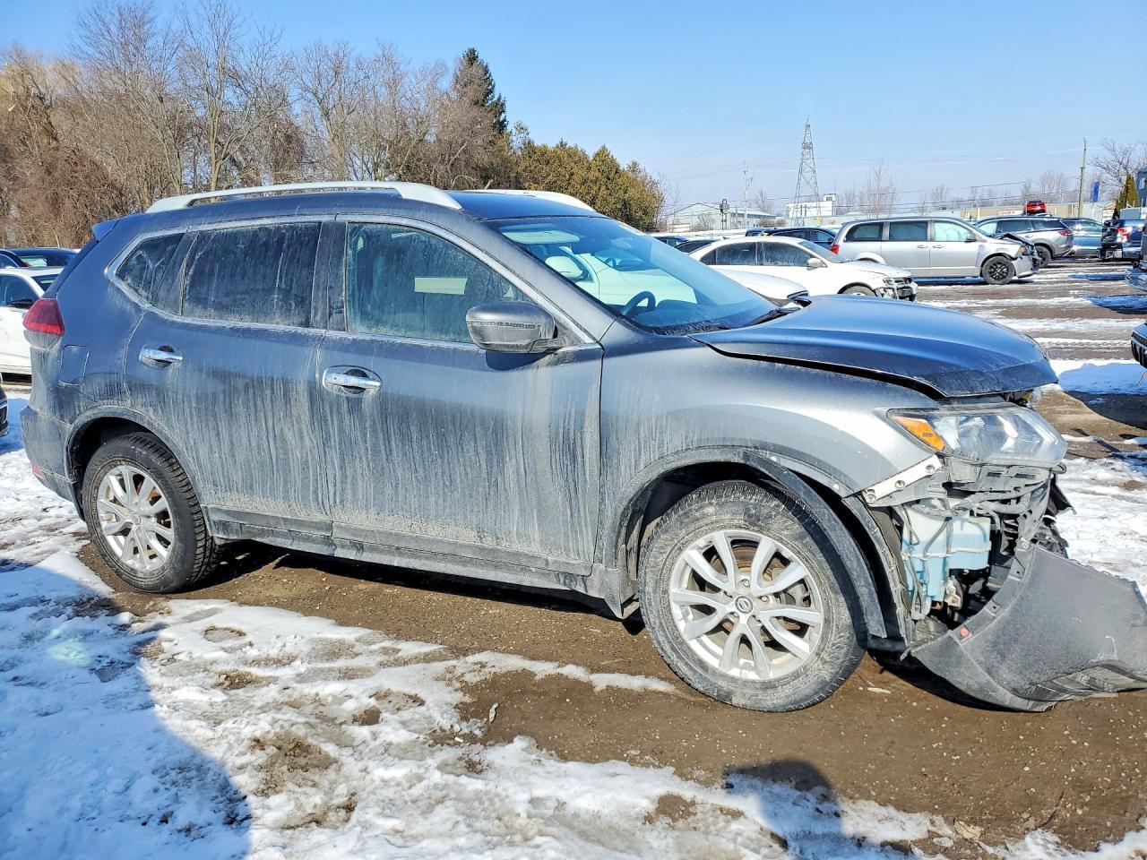 2017 Niss Rogue - zdjęcie 4