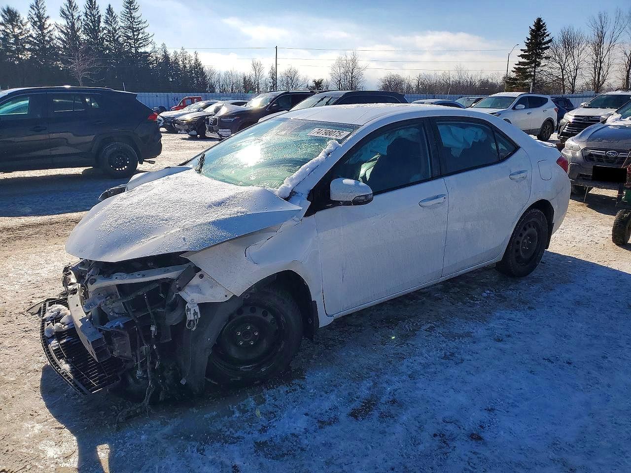 2019 Toyota Corolla L - zdjęcie główne