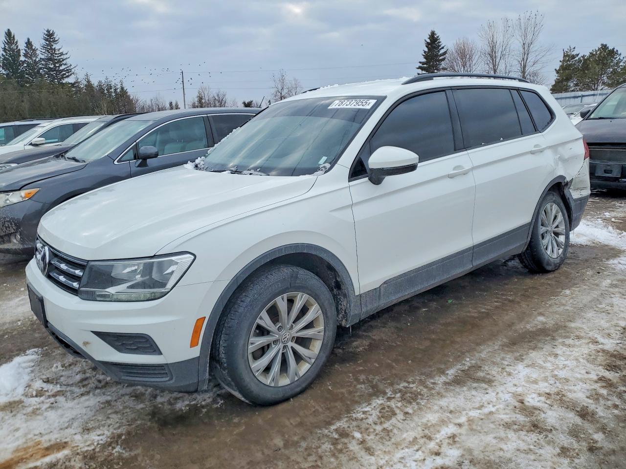 2020 Volkswagen Truck/Van Tiguan Trendline 2.0 - zdjęcie główne