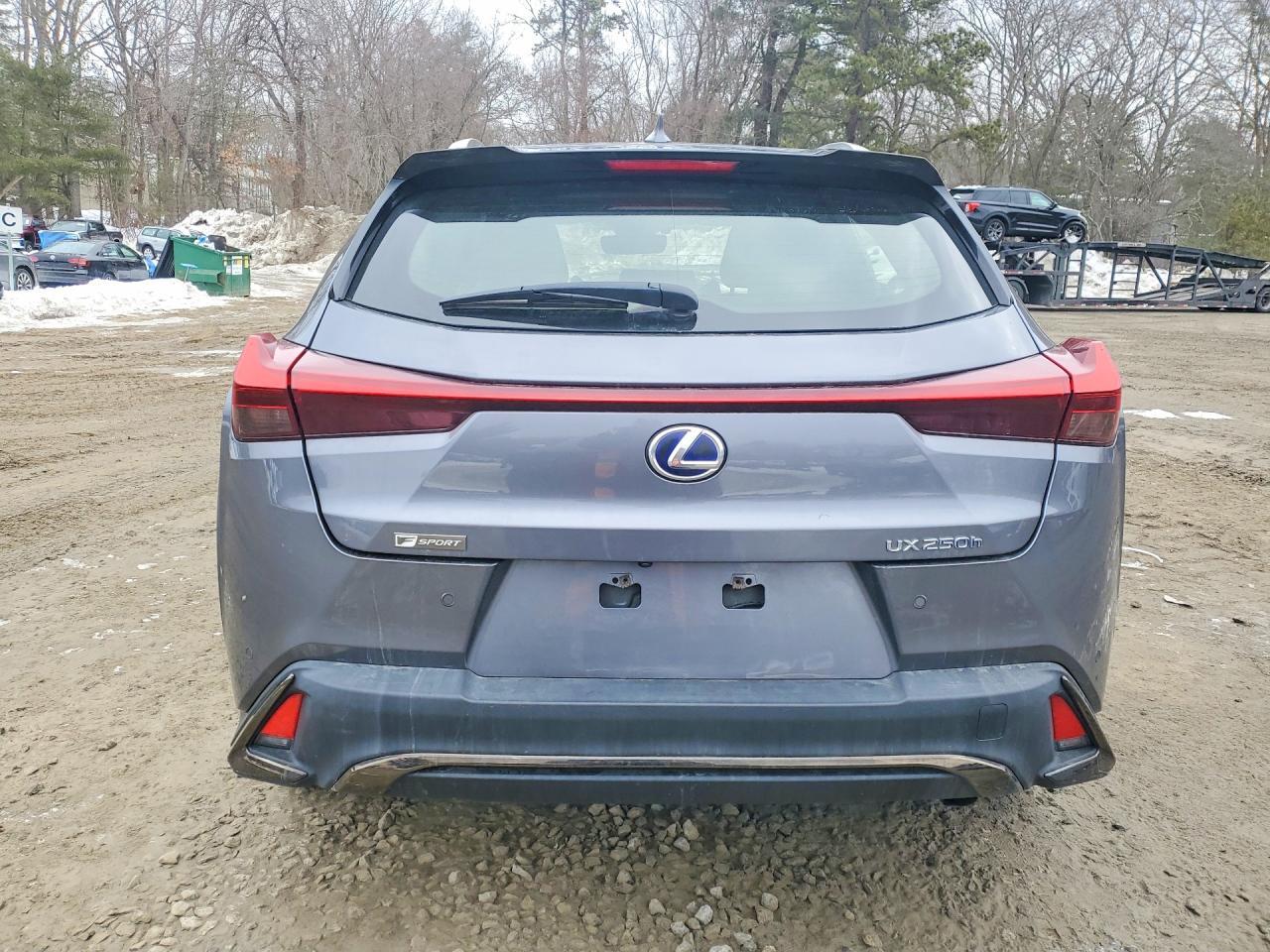 2019 Lexus Ux 250H - zdjęcie 6