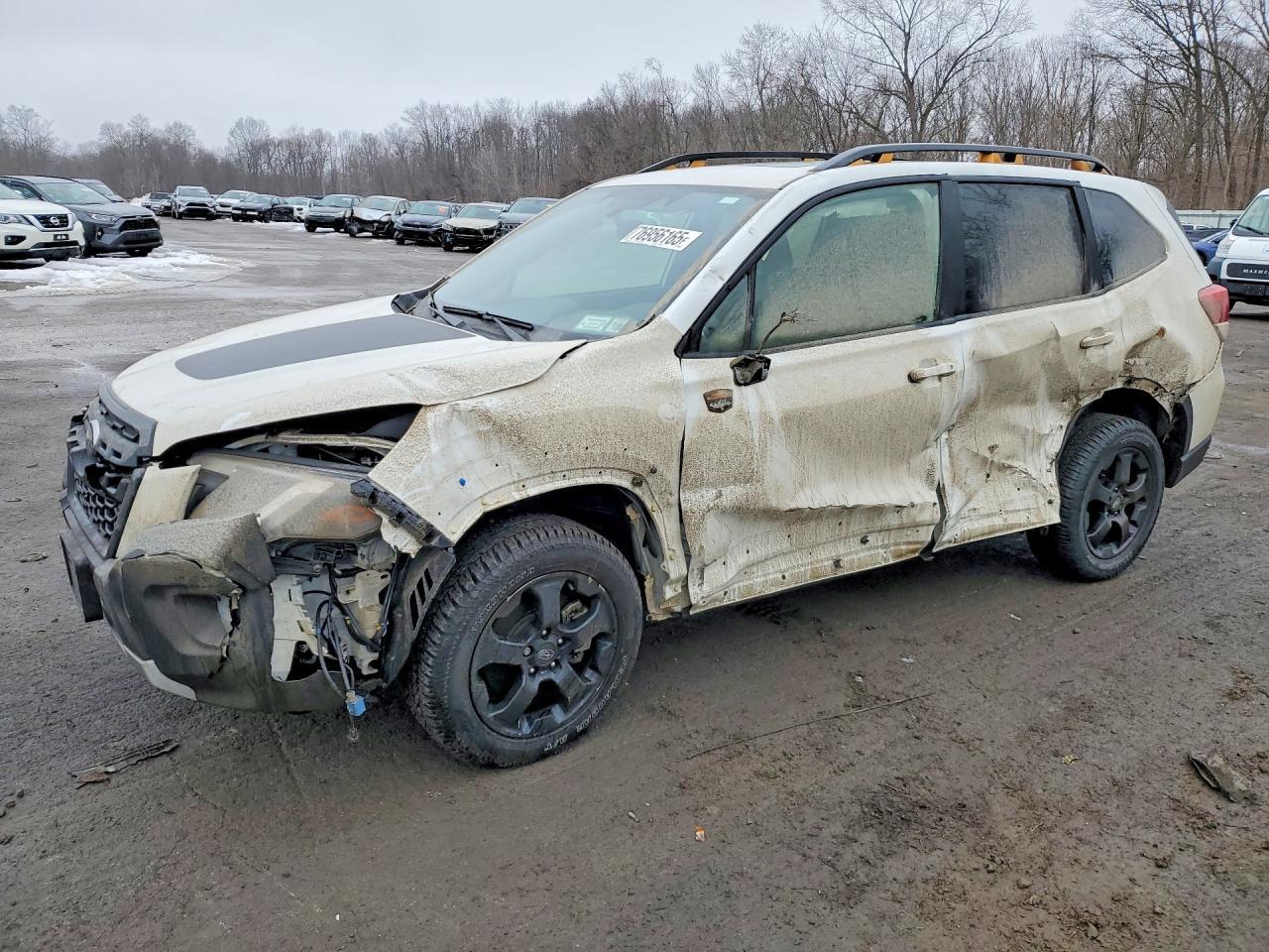2024 Subaru Forester Wilderness - zdjęcie główne