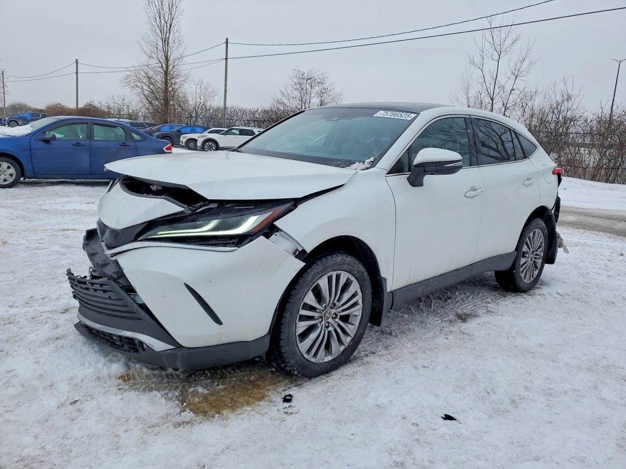 2024 Toyota Venza Le - zdjęcie główne