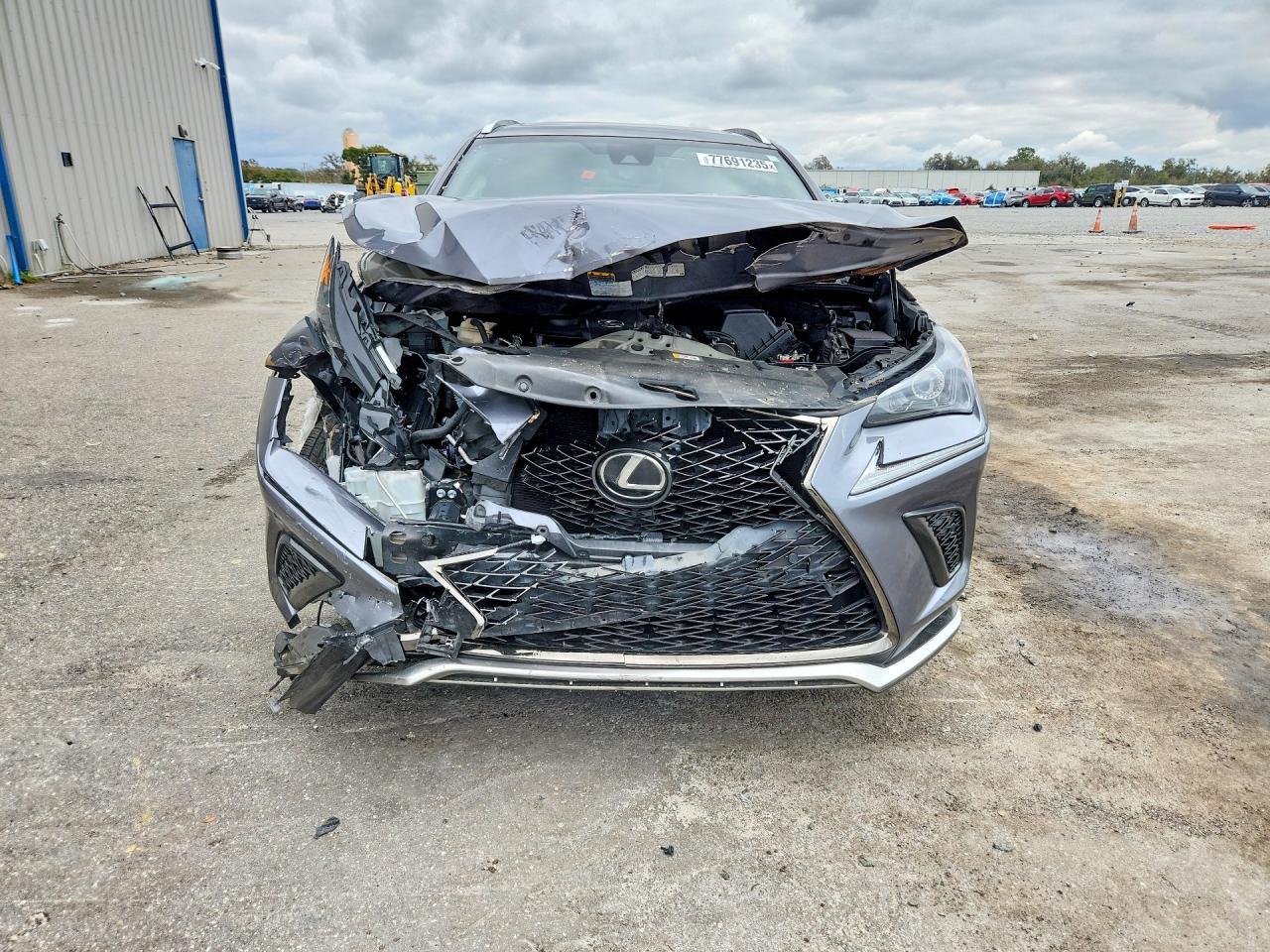 2021 Lexus Nx 300 F Sport - zdjęcie 5