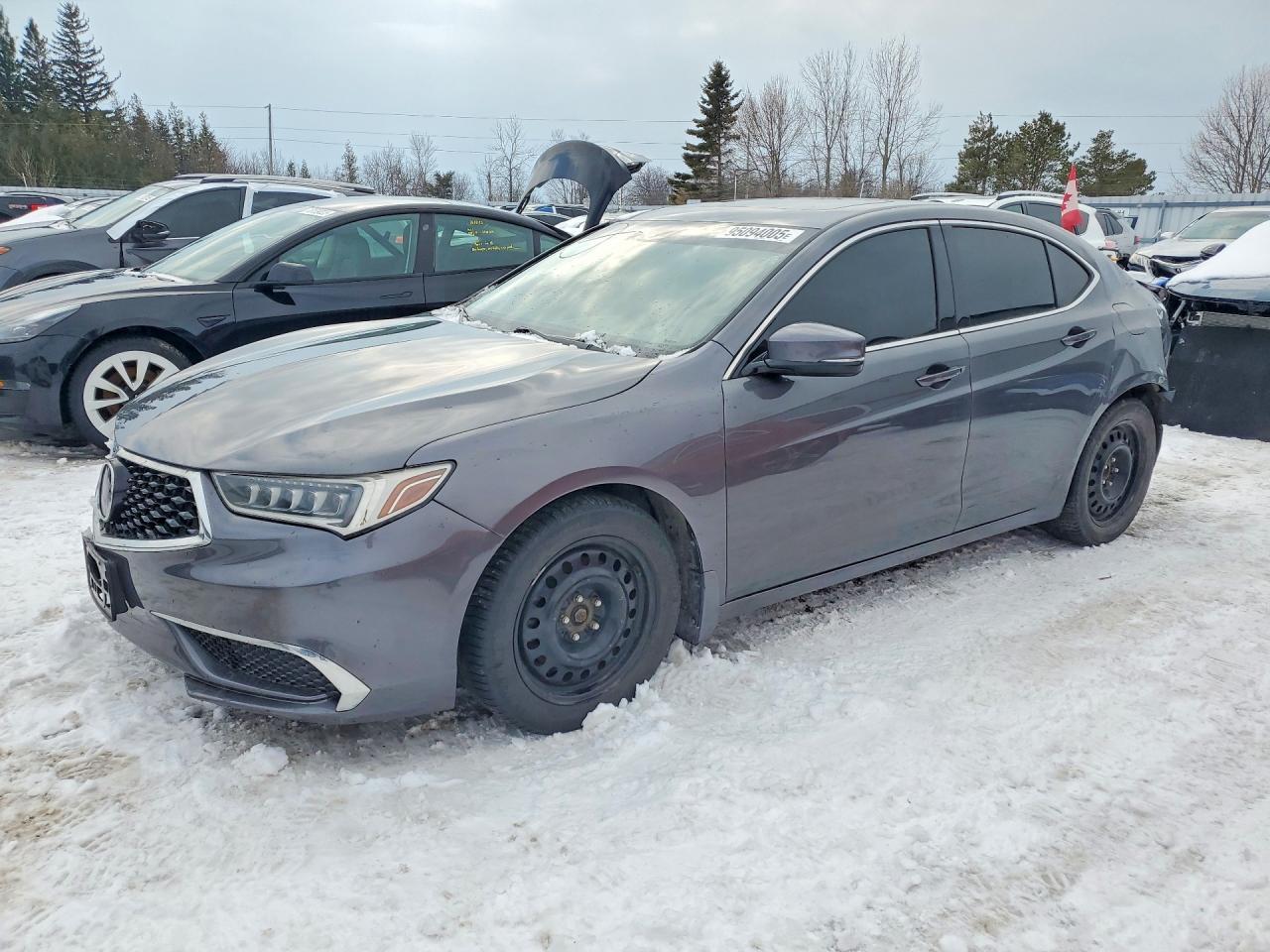 2019 Acura Tlx Technology - zdjęcie główne