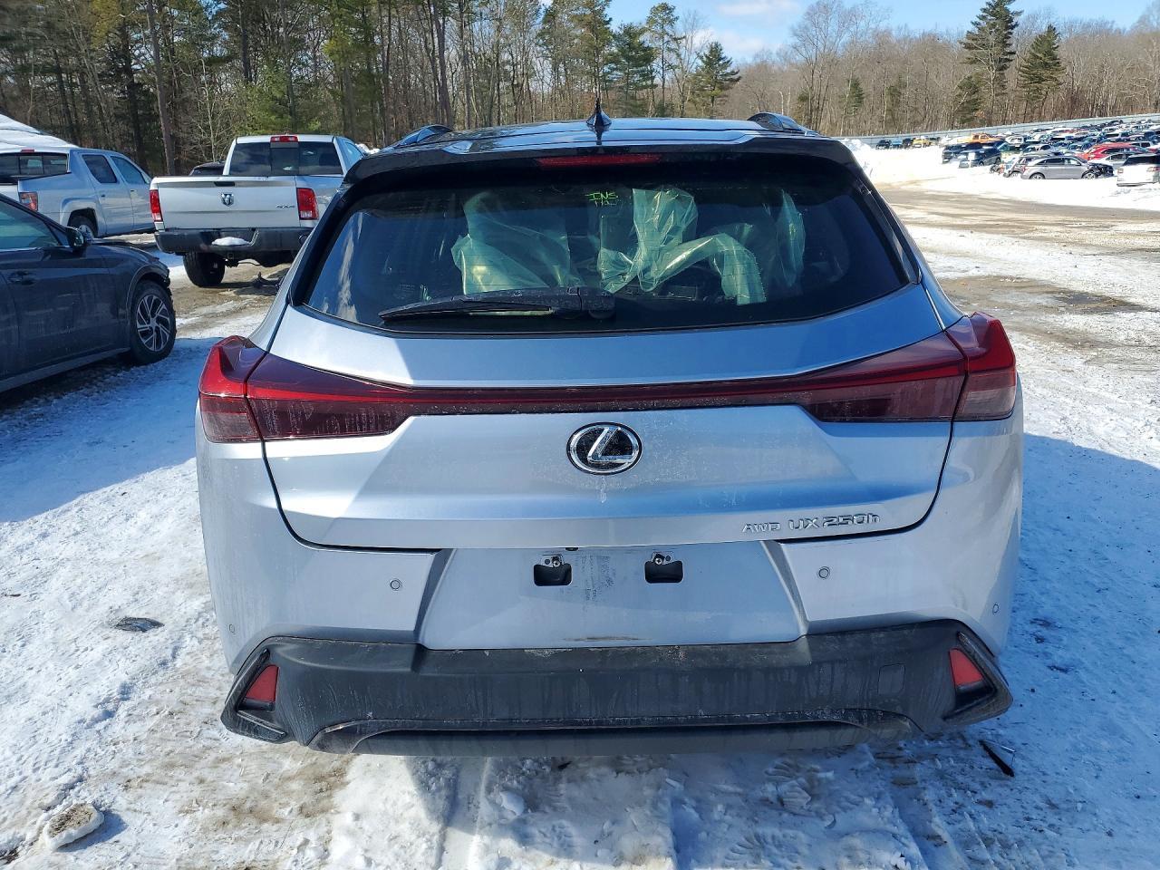 2023 Lexus Ux 250H Base - zdjęcie 6