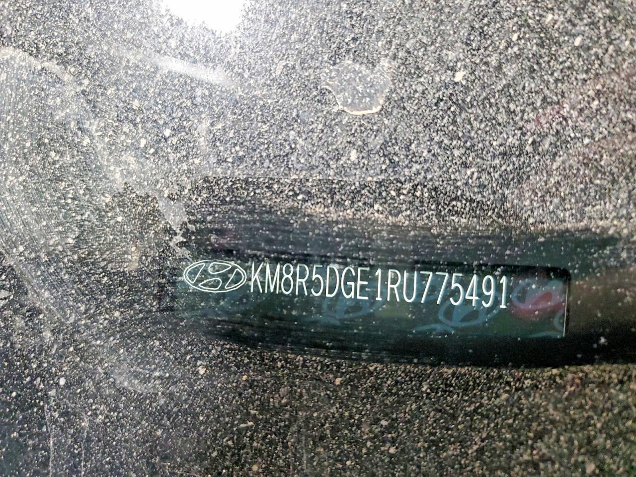 2024 Hyundai Palisade Ultimate Ca - zdjęcie 13