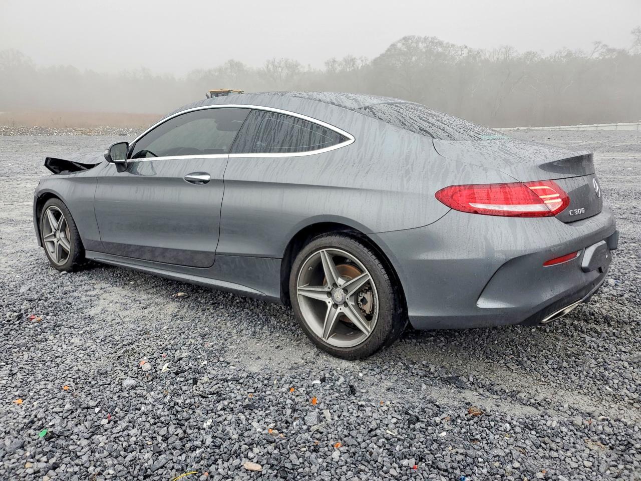 2017 Mercedes-Benz C 300 - zdjęcie 2