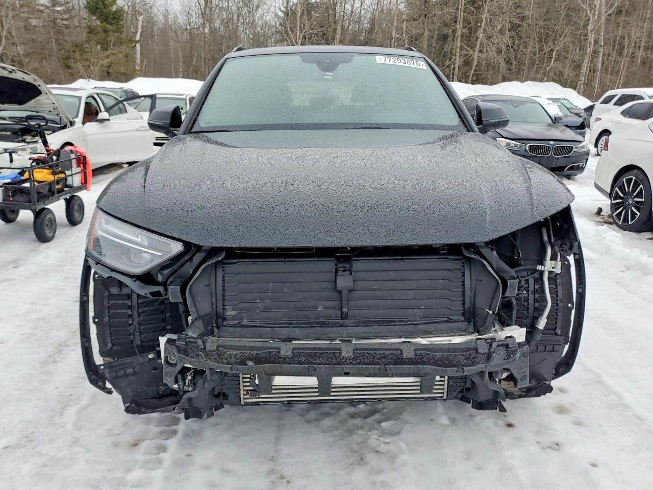 2024 Audi Q5 Premium Plus 45 - zdjęcie 5