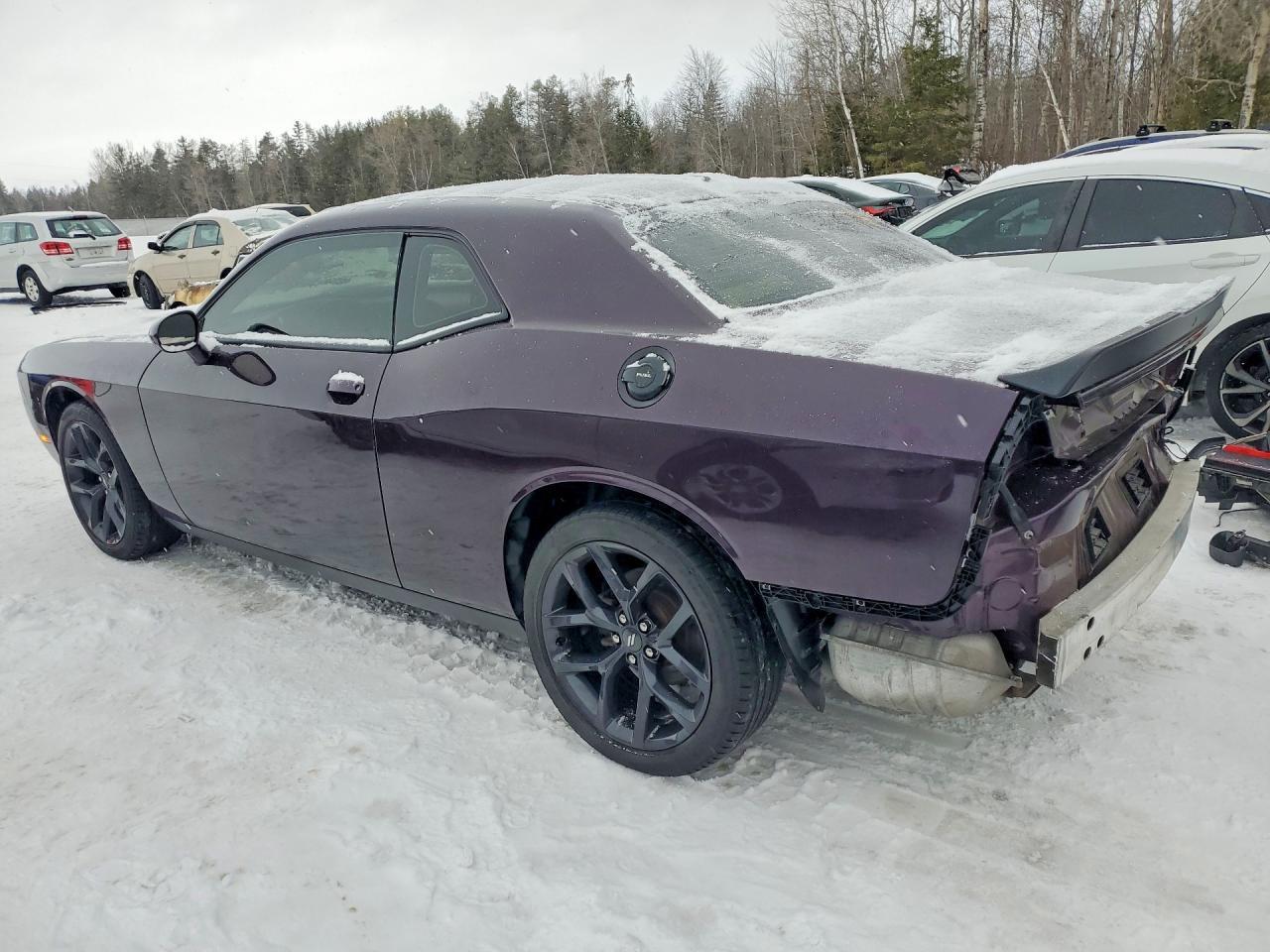 2021 Dodge Challenger Sxt - zdjęcie 2