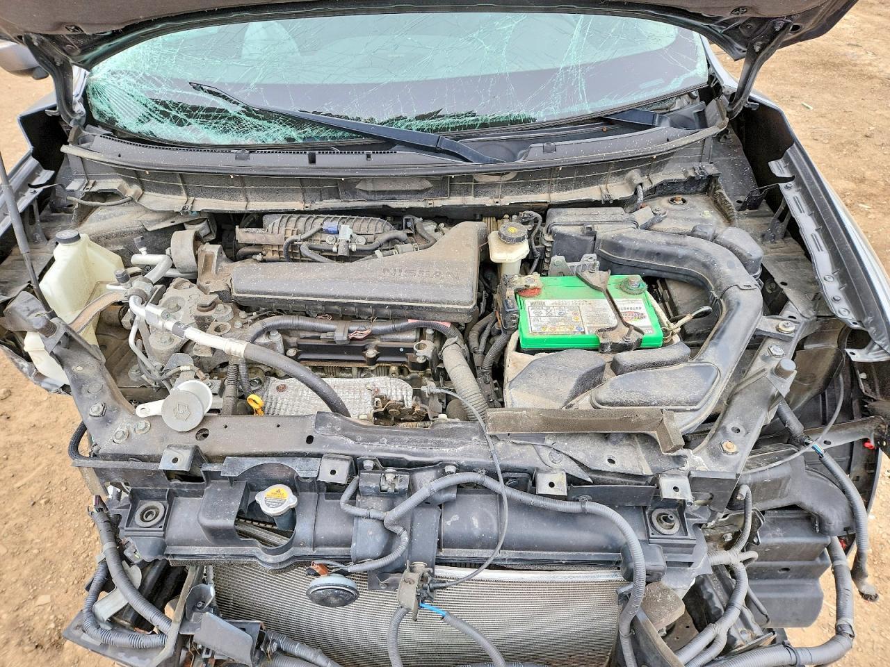 2015 Niss Rogue - zdjęcie 11