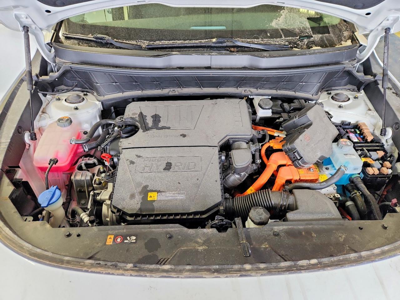 2024 Kia Niro Plug-In Hybrid Ex - zdjęcie 11