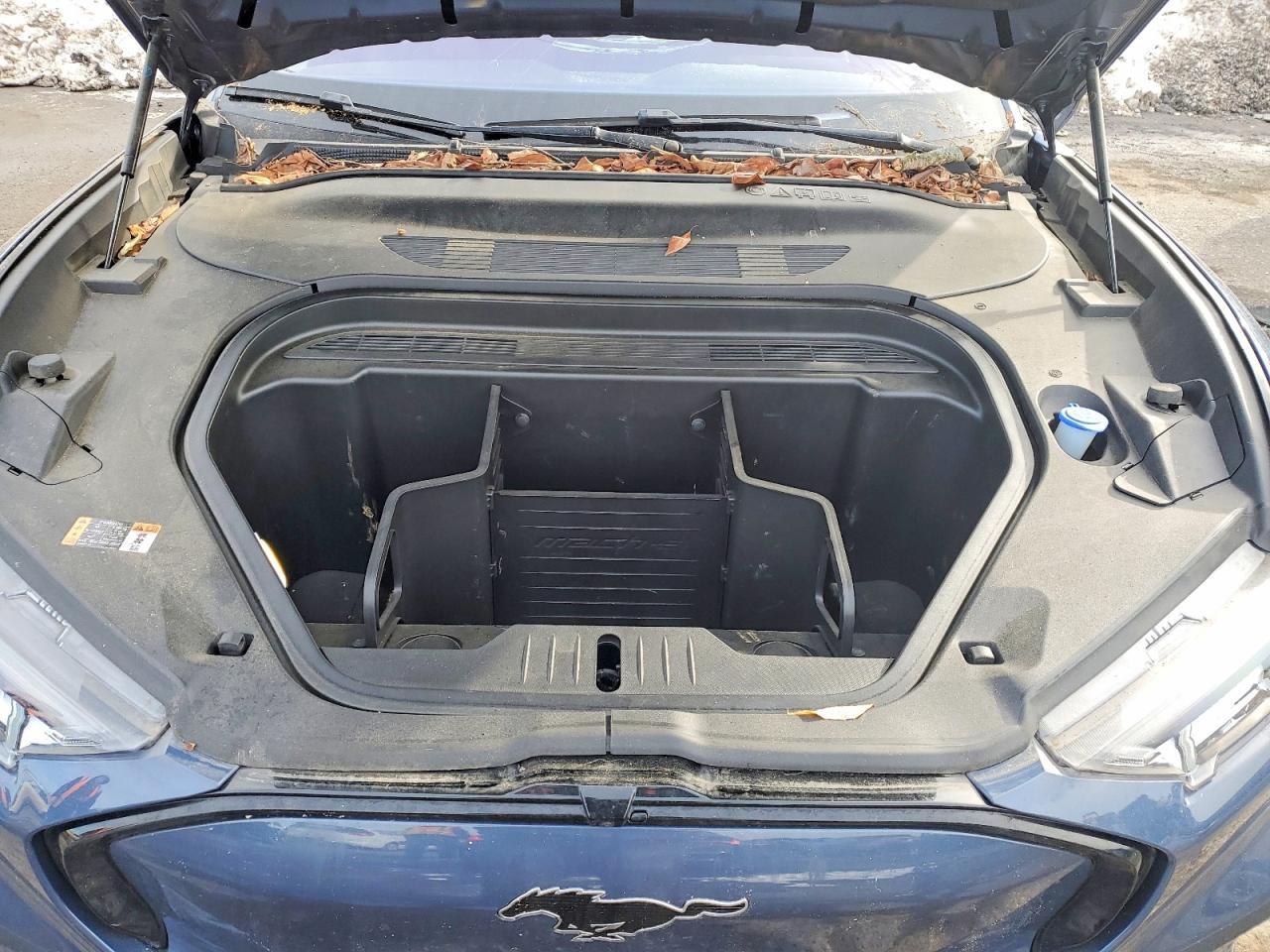 2021 Ford Mustang Mach-E Premium - zdjęcie 11