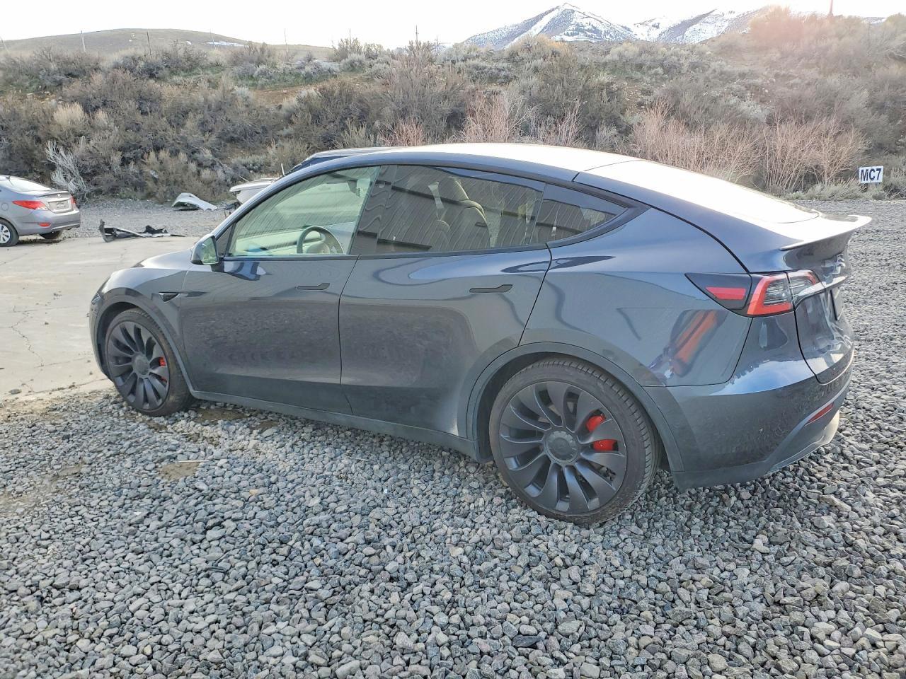 2021 Tesla Model Y - zdjęcie 2