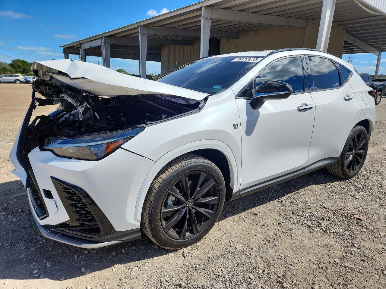 2024 Lexus Nx 350 F Sport Handling - zdjęcie główne