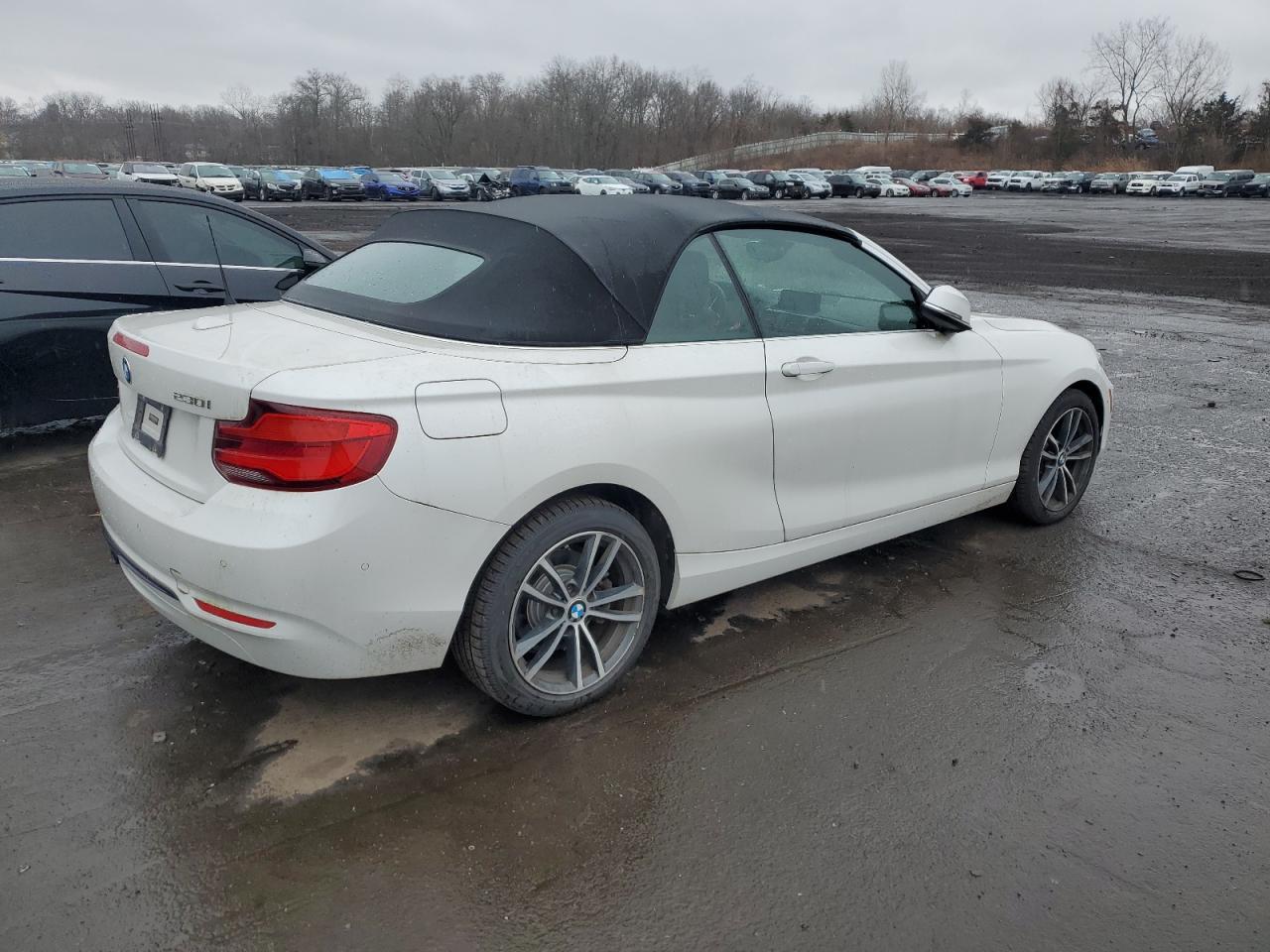 2018 BMW 230Xi - zdjęcie 3