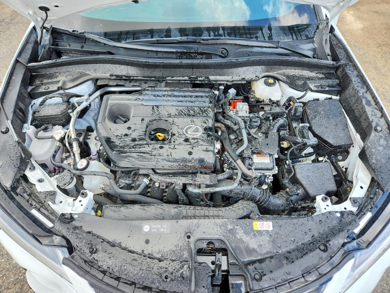 2025 Lexus Ux 300H Base - zdjęcie 12