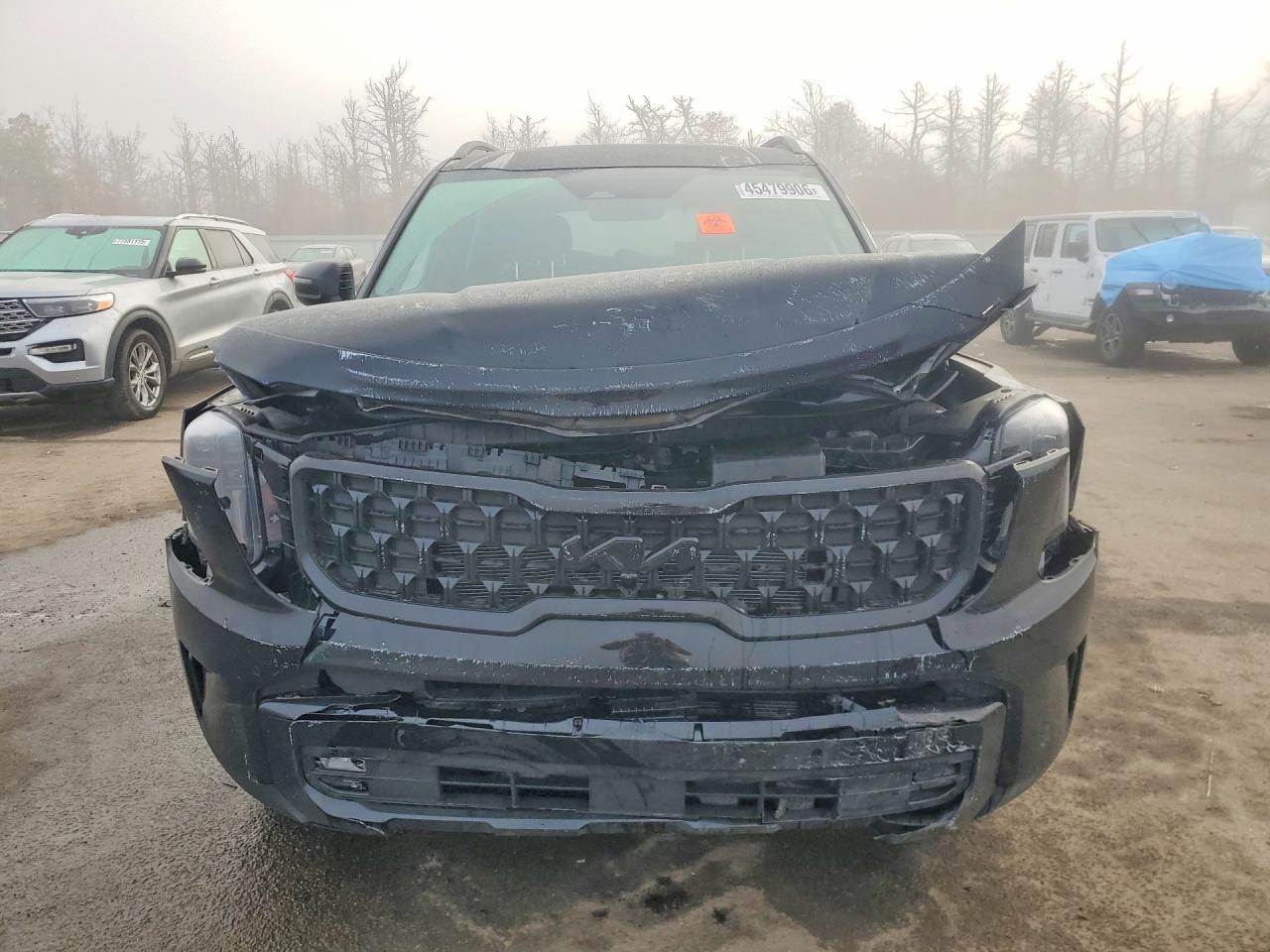 2025 Kia Telluride Sx X-Line - zdjęcie 5
