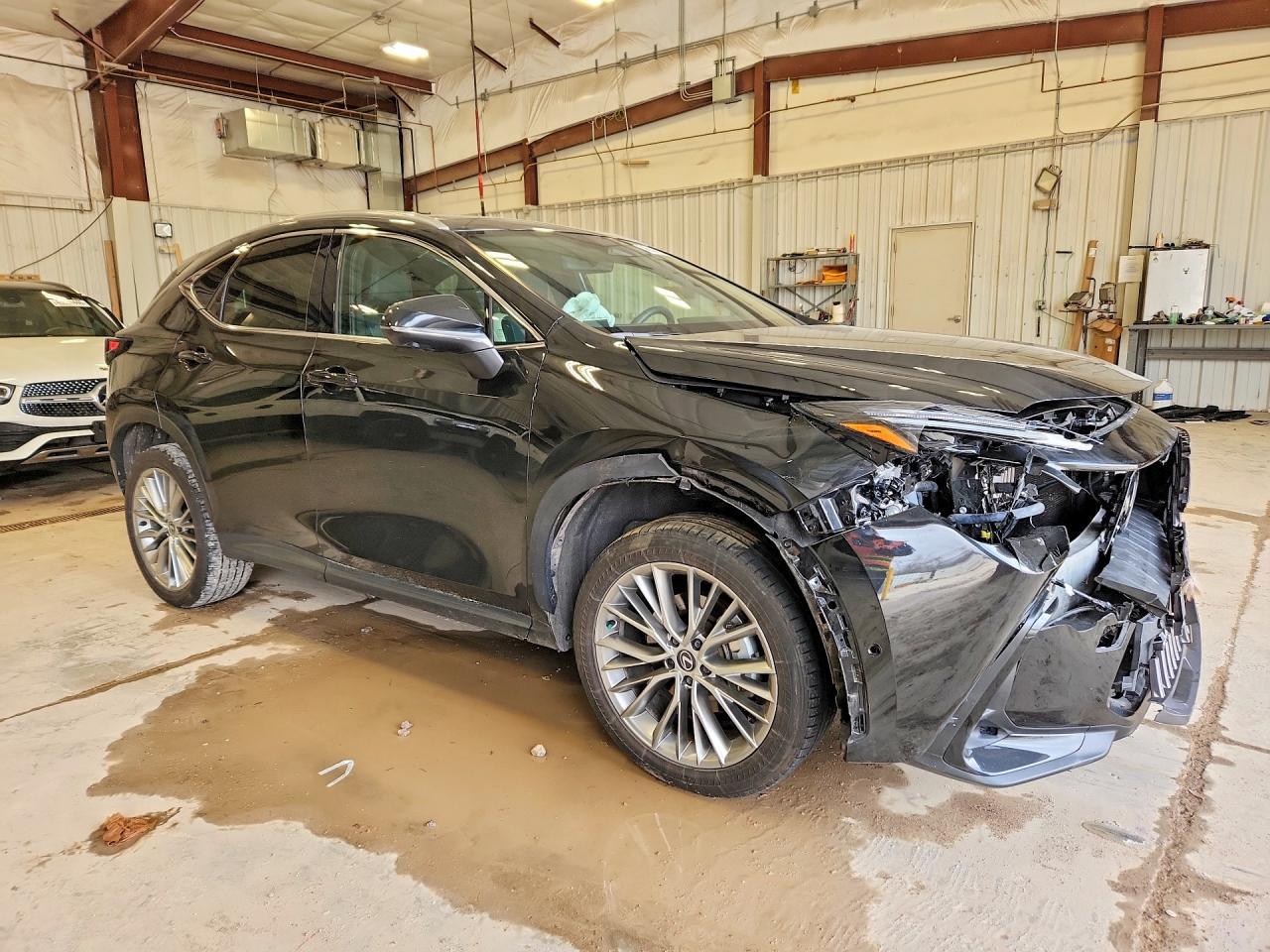 2024 Lexus Nx 350H Luxury - zdjęcie 4