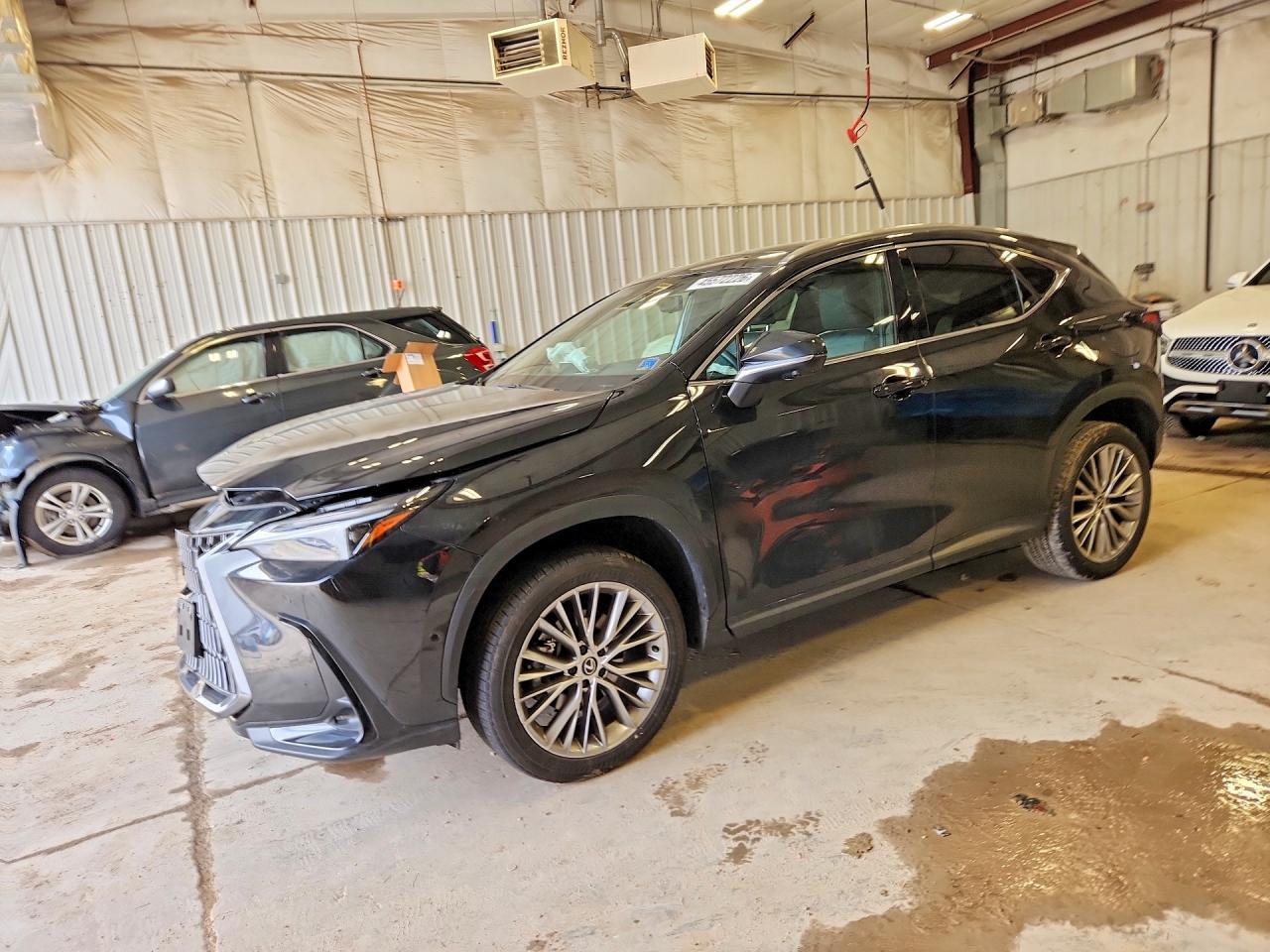 2024 Lexus Nx 350H Luxury - zdjęcie główne