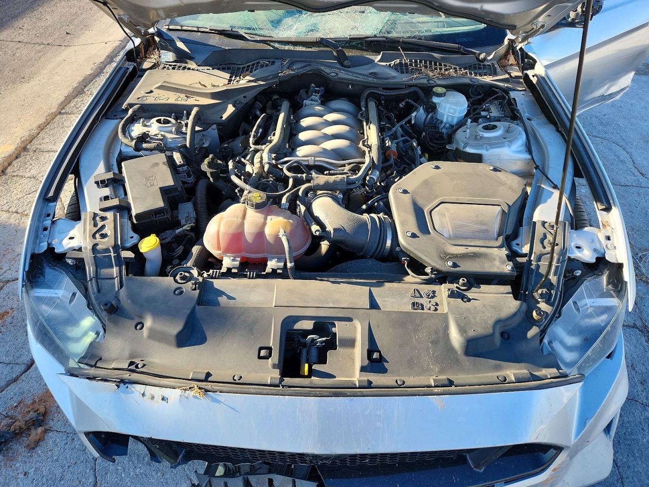 2019 Ford Mustang Gt - zdjęcie 11