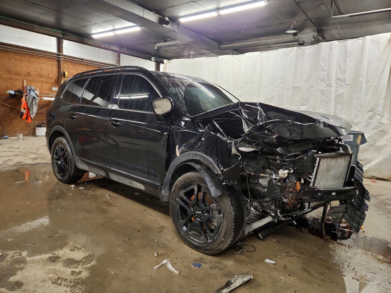 2024 Kia Telluride Sx-Prestige X-Line - zdjęcie 4
