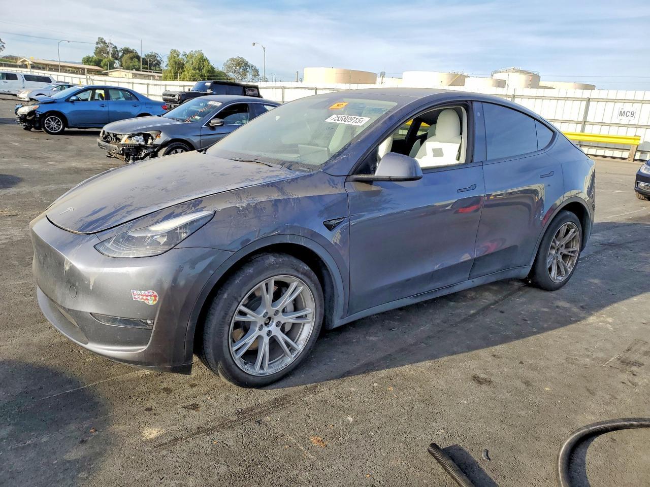 2023 Tesla Model Y - zdjęcie główne