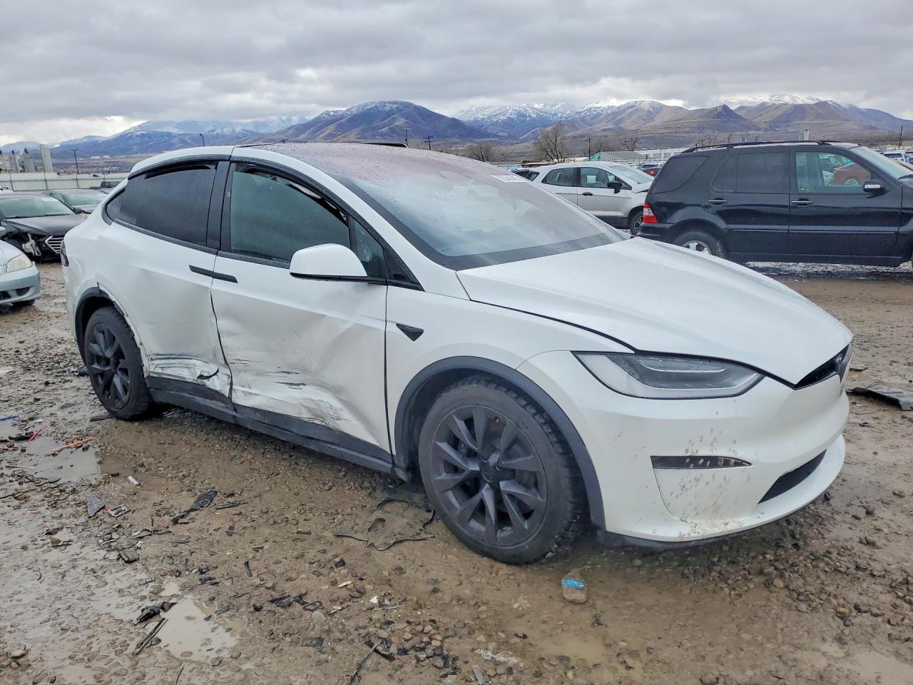 2023 Tesla Model X - zdjęcie 4