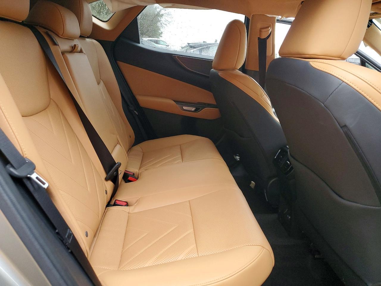 2024 Lexus Nx 350H Luxury - zdjęcie 11