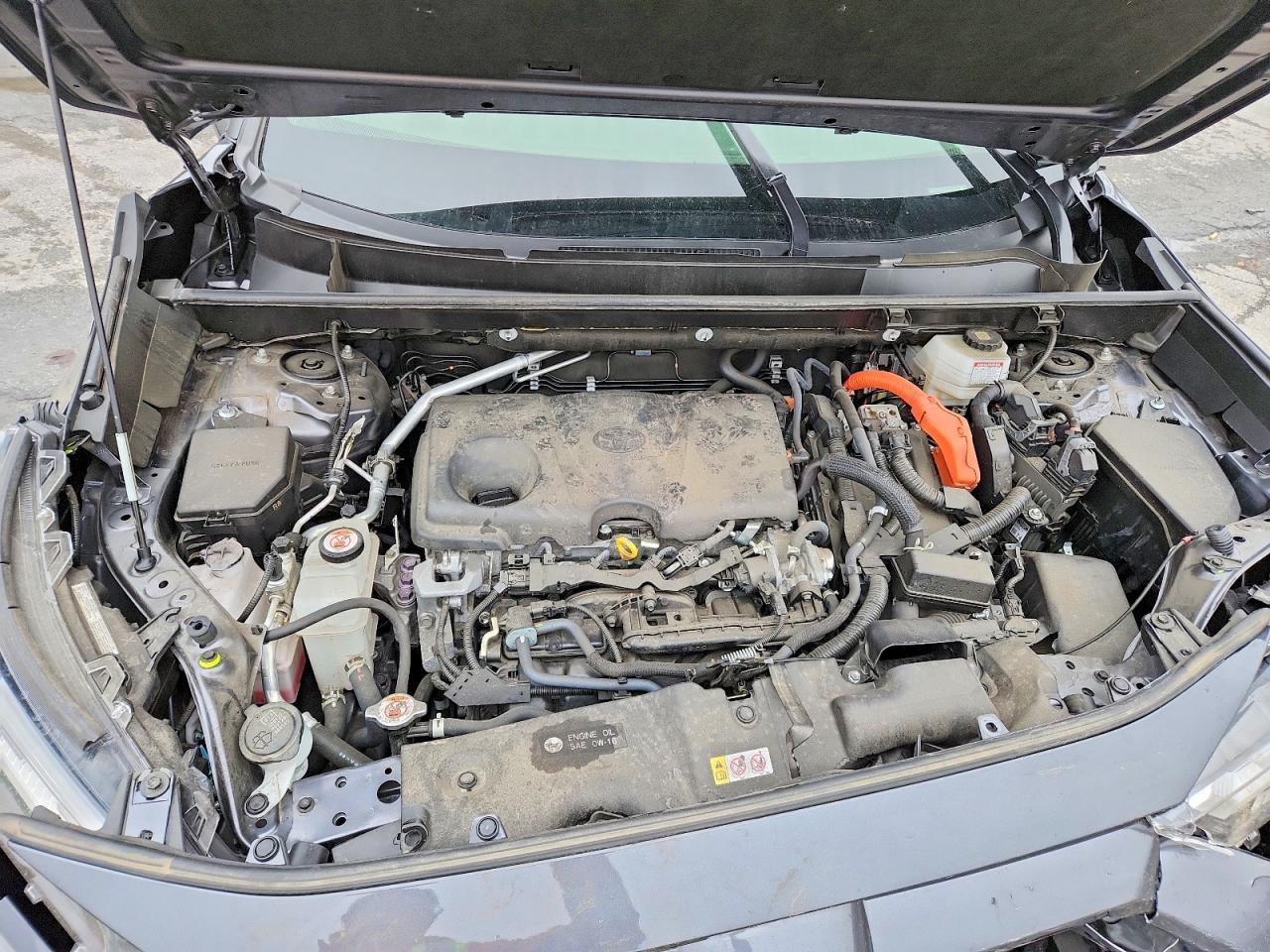 2023 Toyota Rav4 Hybrid Le - zdjęcie 12