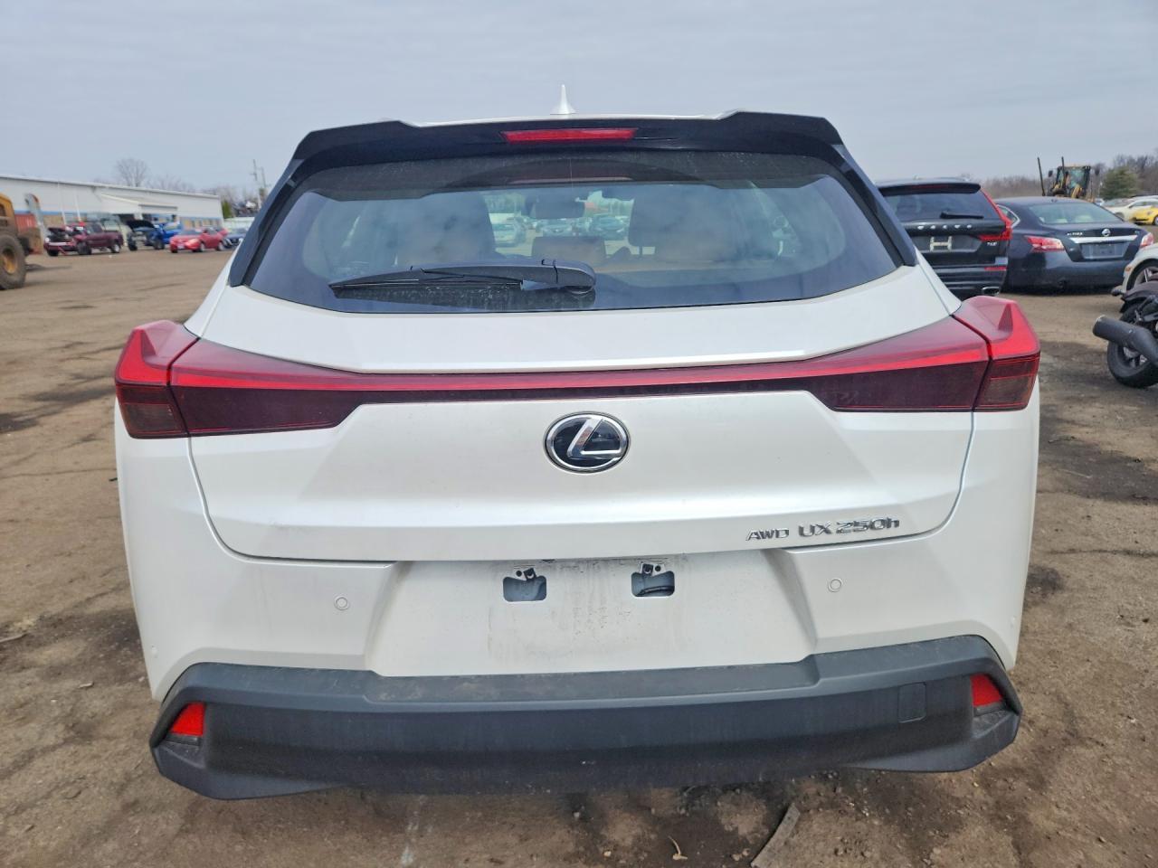 2024 Lexus Ux 250H Premium - zdjęcie 6