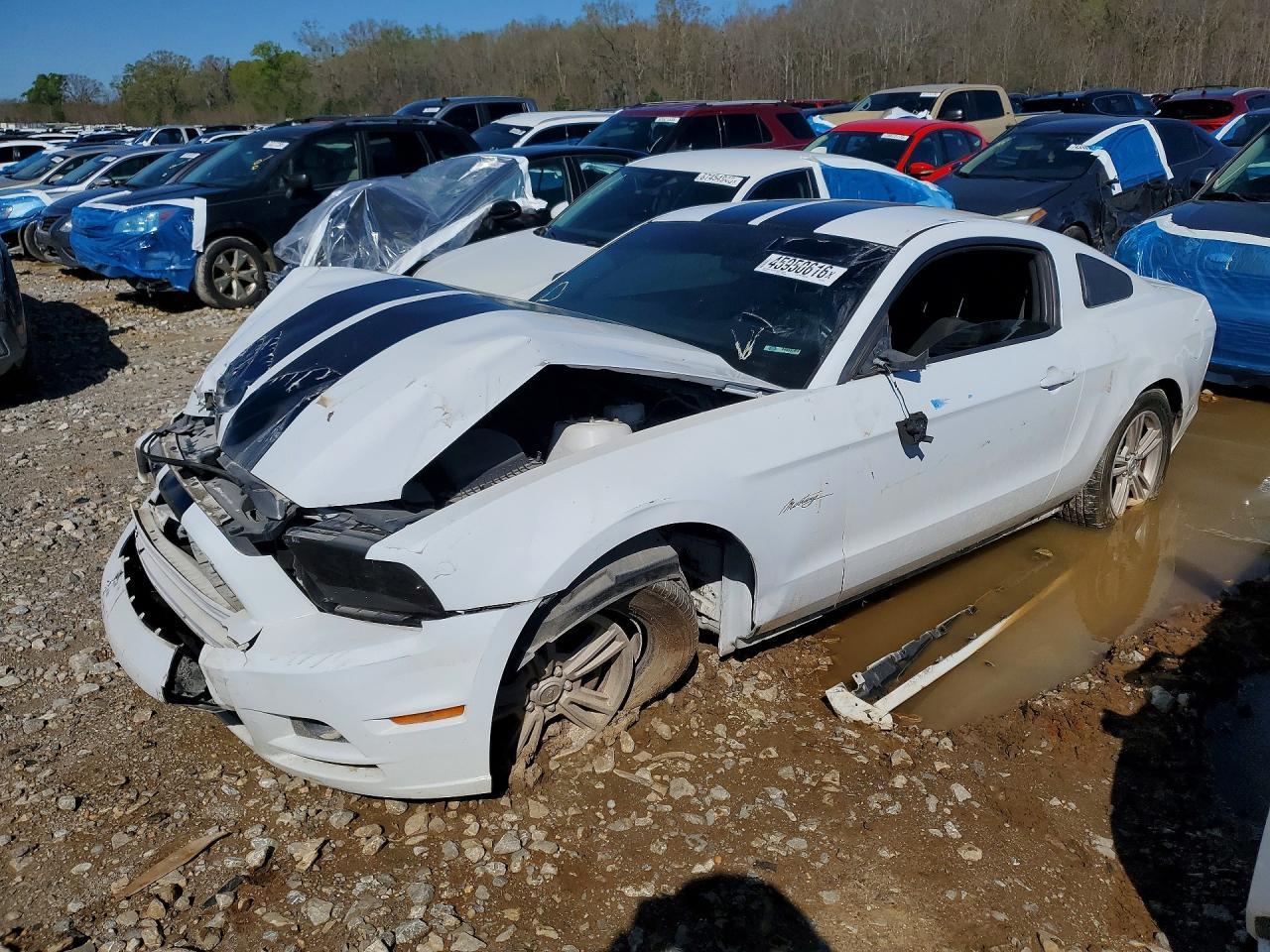 2014 Ford Mustang - zdjęcie główne