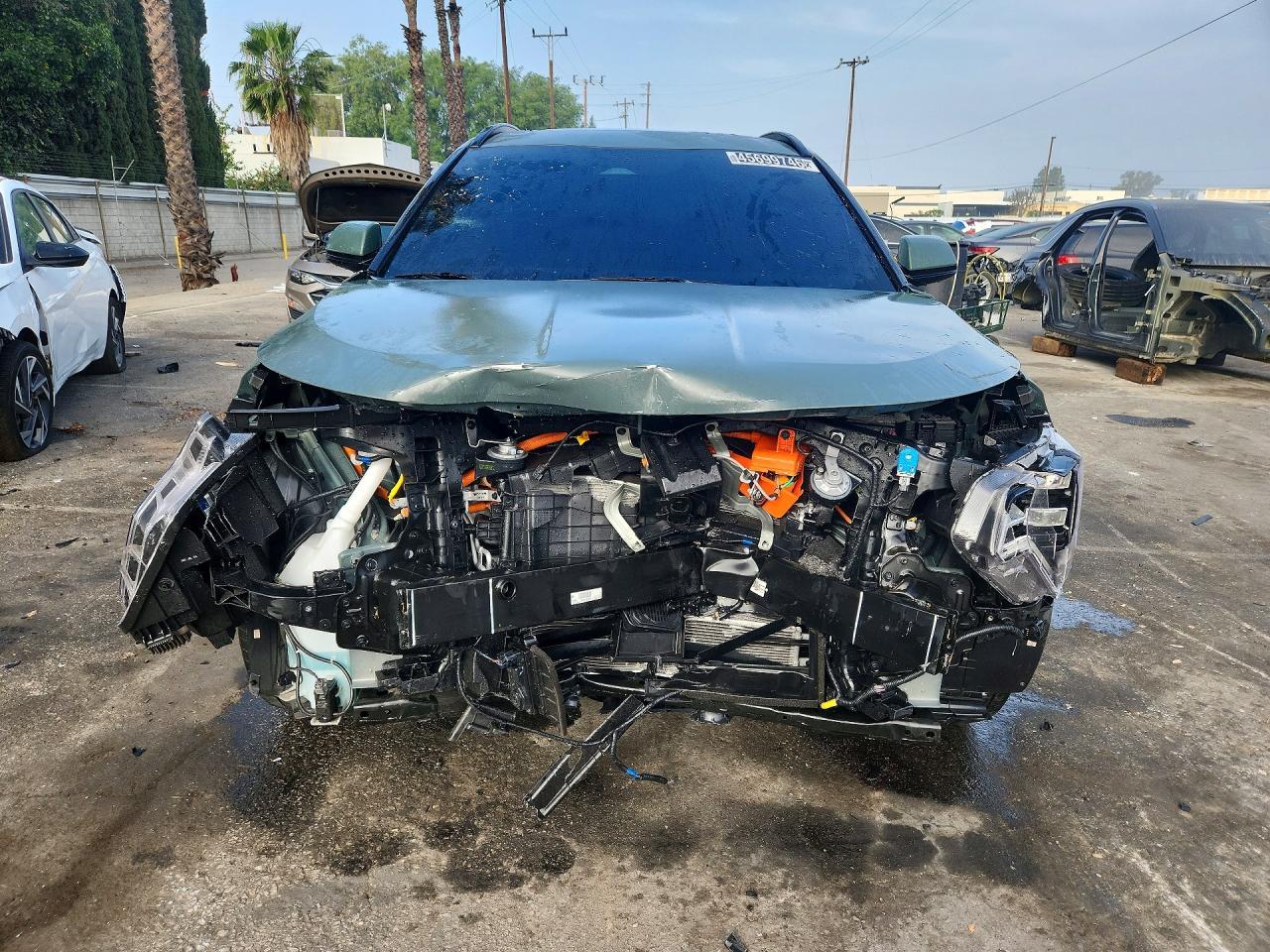 2025 Kia Niro Ev Wave - zdjęcie 5