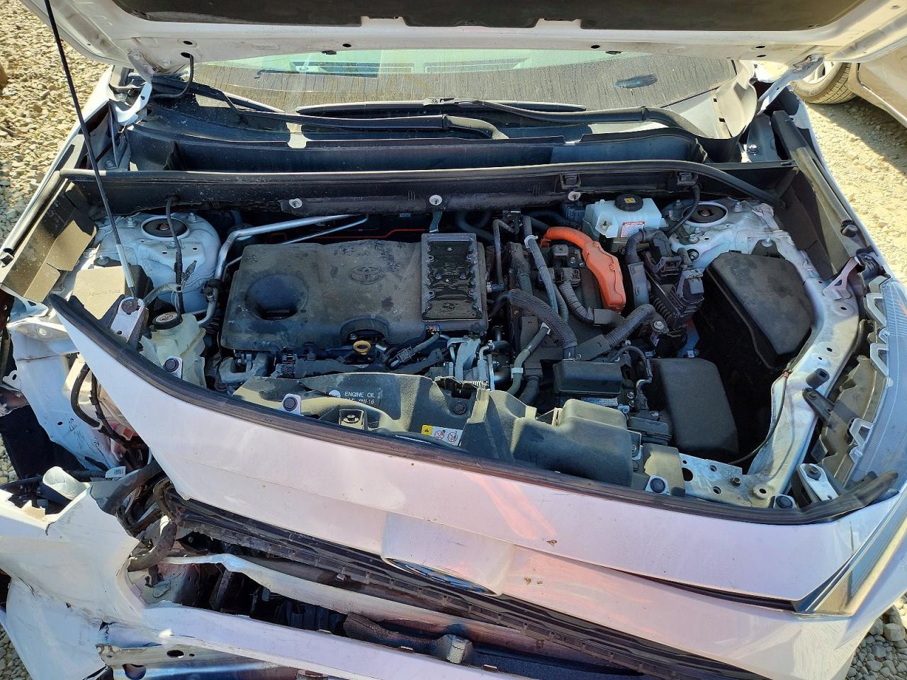 2019 Toyota Rav4 Hybrid Xle - zdjęcie 12