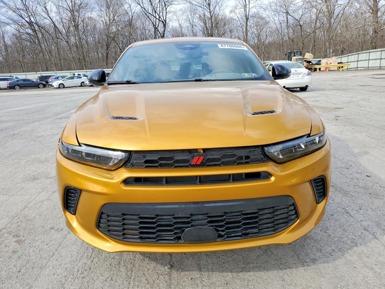 2024 Dodge Hornet R - zdjęcie 5