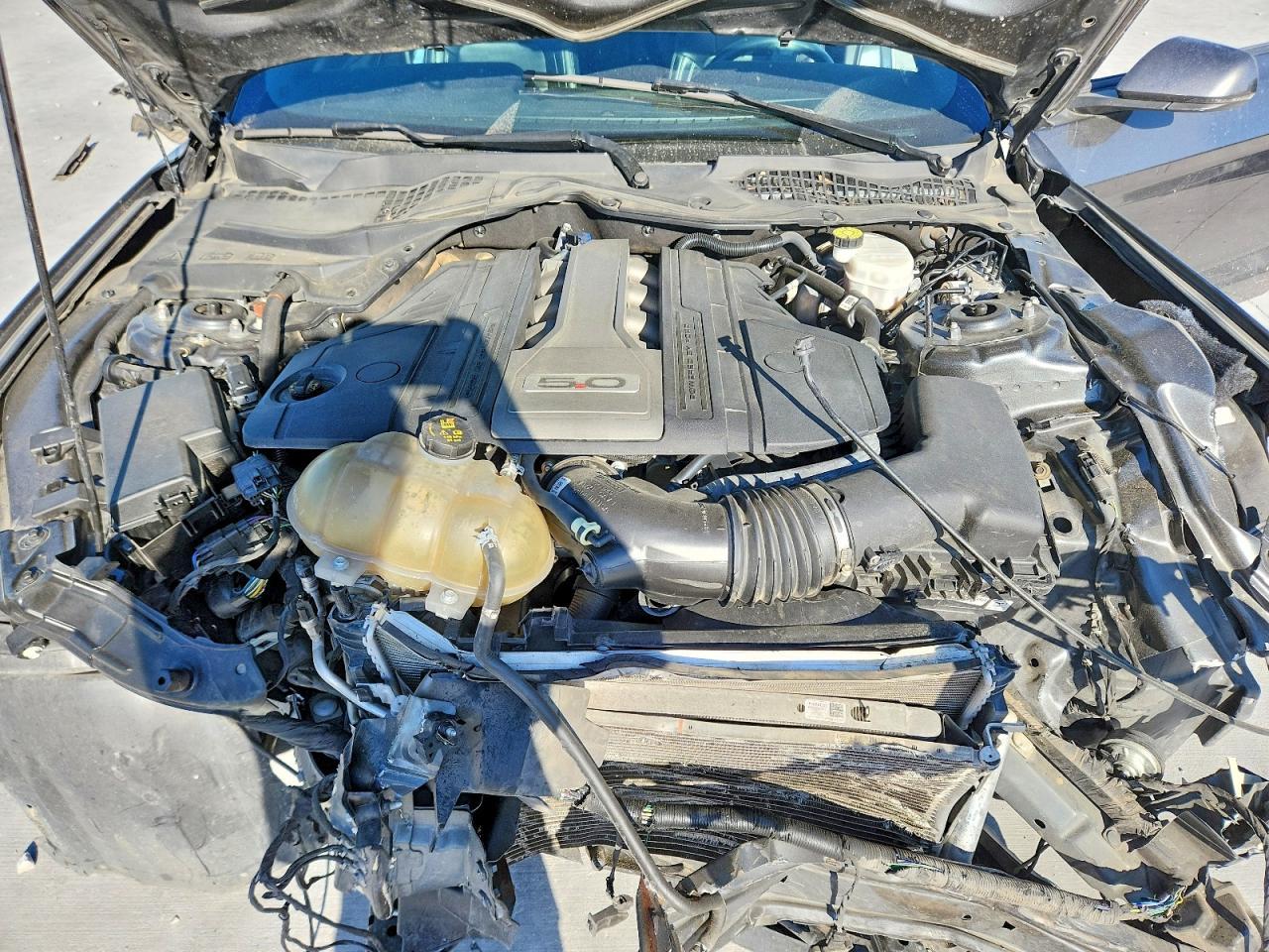 2020 Ford Mustang Gt - zdjęcie 11