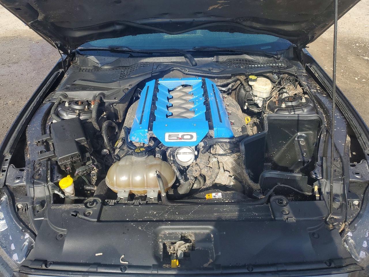 2015 Ford Mustang Gt - zdjęcie 11