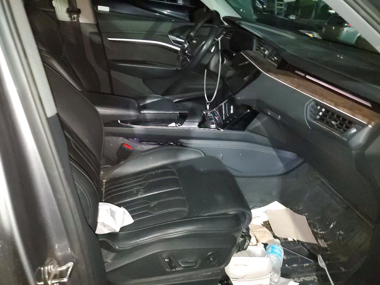 2019 Audi E-Tron Prestige - zdjęcie 13